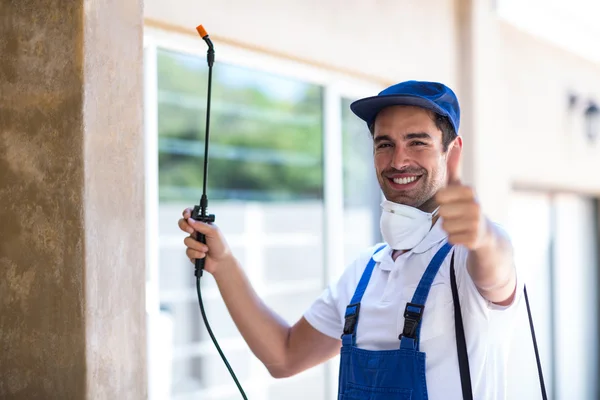 Cypress Wasp Removal