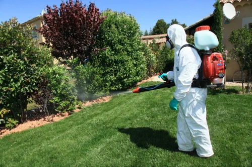 Cypress Mosquito Control