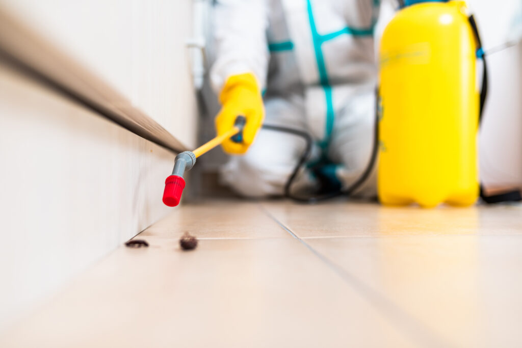 Cypress Cockroach Experts