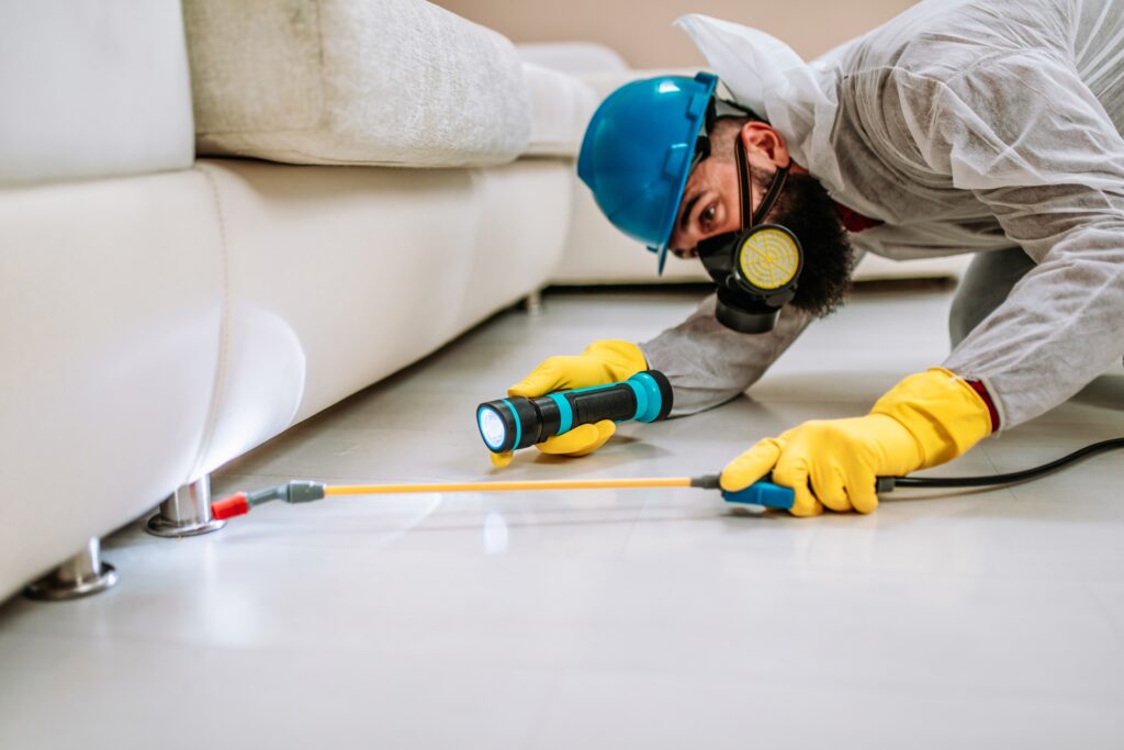 Cypress Termite Control