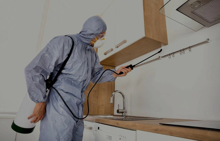Cypress pest managment