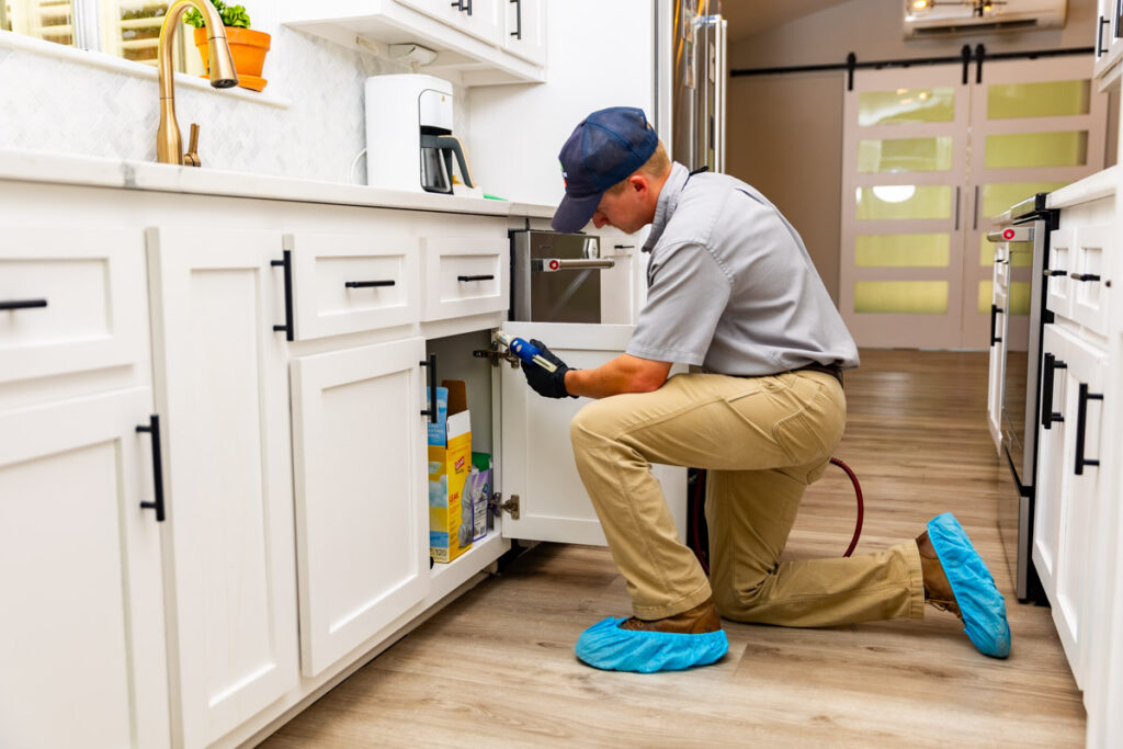 Cypress xpert pest management
